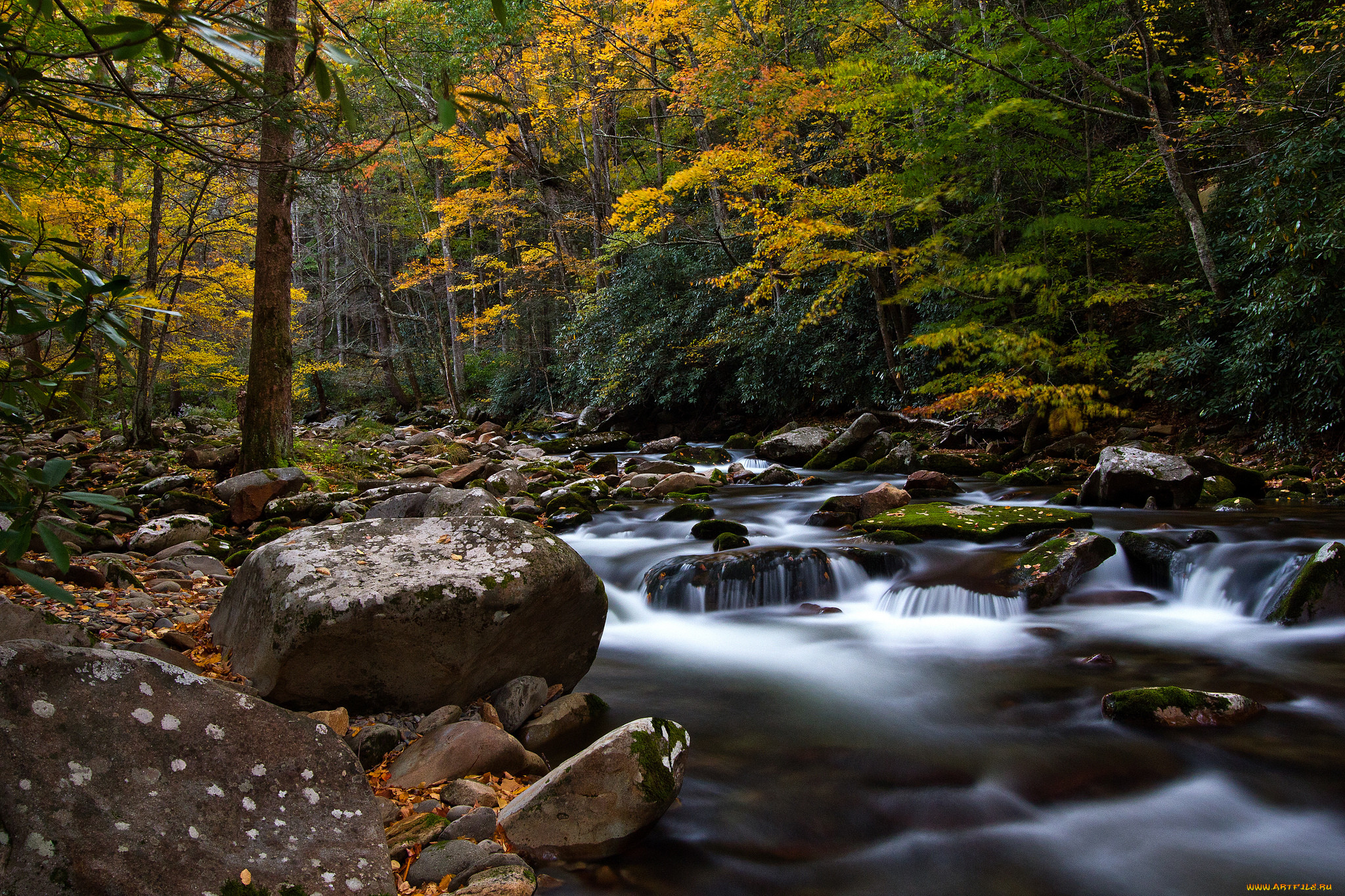 big creek, , , , , , , , 